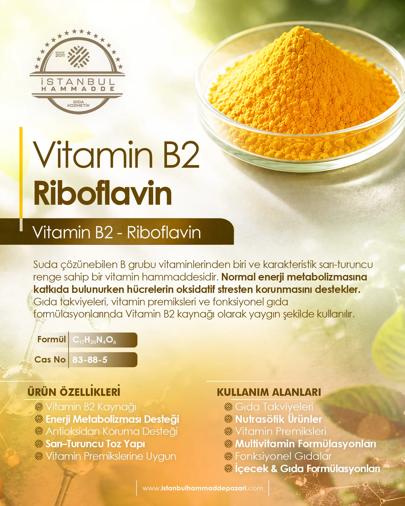 B2 Vitamini