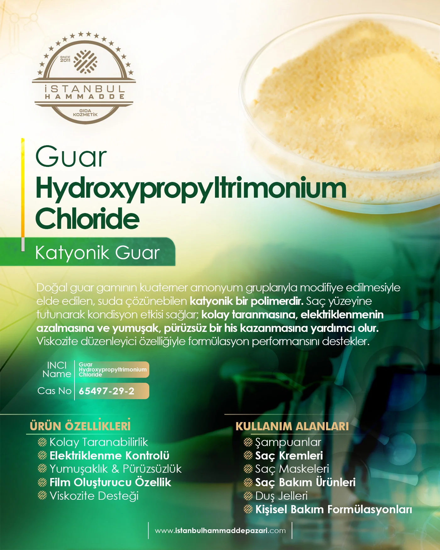 Katyonik Guar