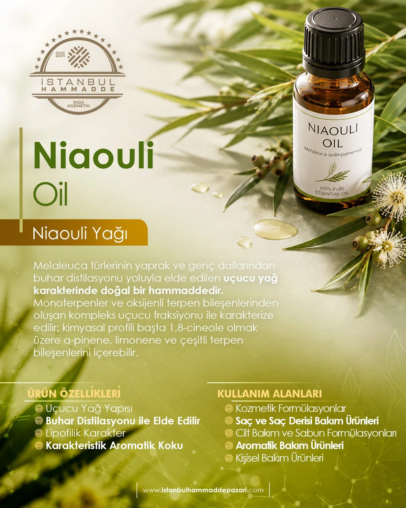 Niaouli Yağı